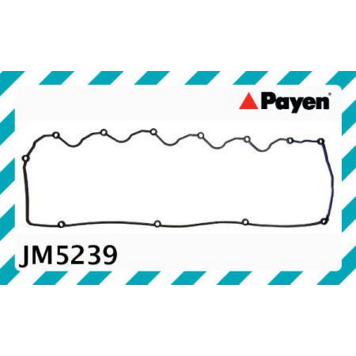 Payen Valve Cover Gasket JM5239