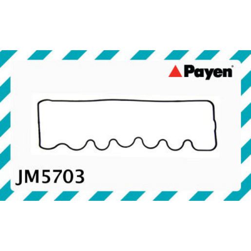 Payen Valve Cover Gasket JM5703