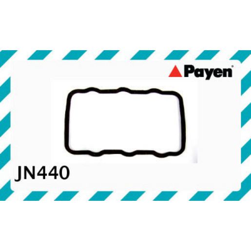 Payen Valve Cover Gasket JN440