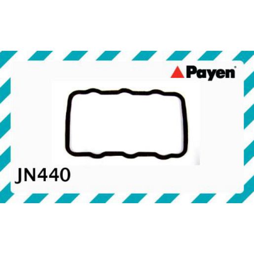 Payen Valve Cover Gasket JN440