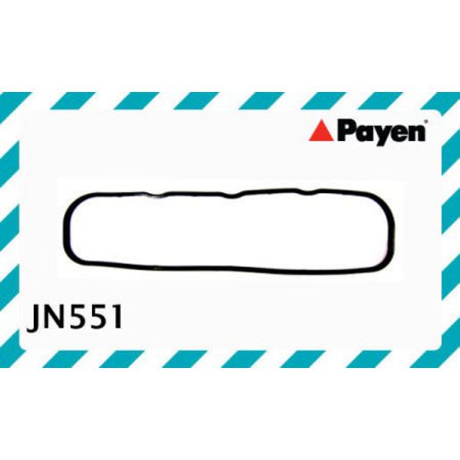 Payen Valve Cover Gasket JN551