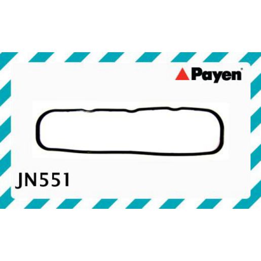 Payen Valve Cover Gasket JN551