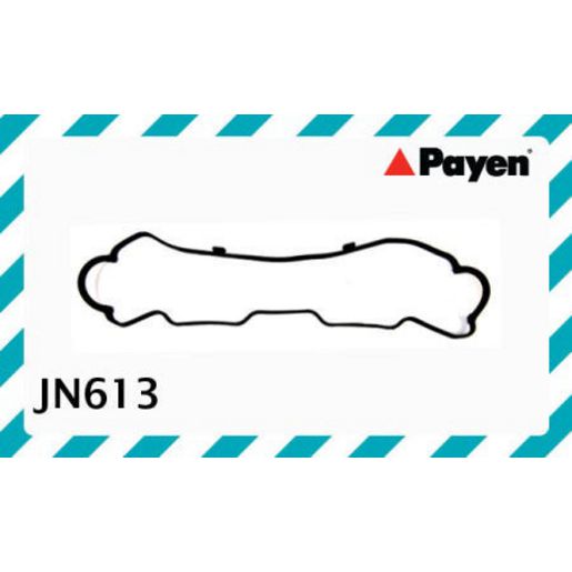 Payen Valve Cover Gasket JN613