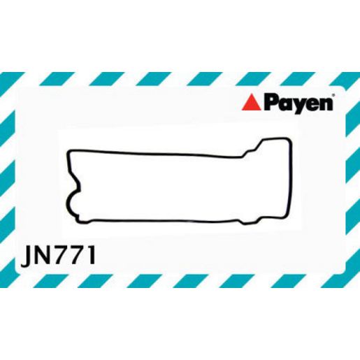 Payen Valve Cover Gasket JN771