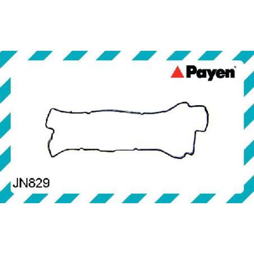 Payen Rocker Cover Gasket JN829
