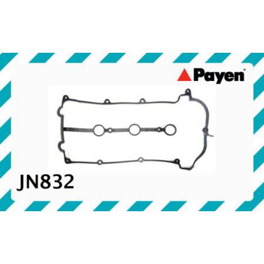 Payen Rocker Cover Gasket JN832