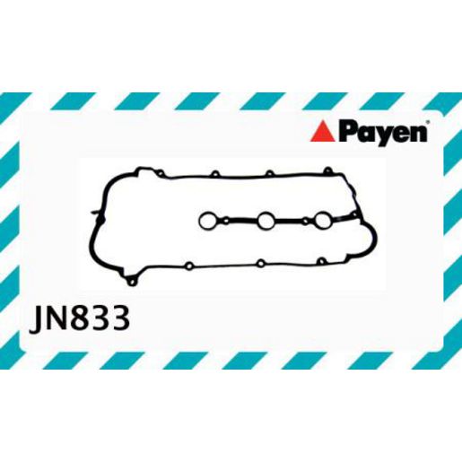 Payen Rocker Cover Gasket JN833