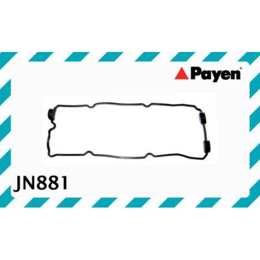 Payen Rocker Cover Gasket JN881