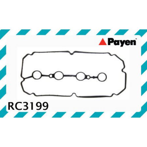 Payen Valve Cover Gasket RC3199