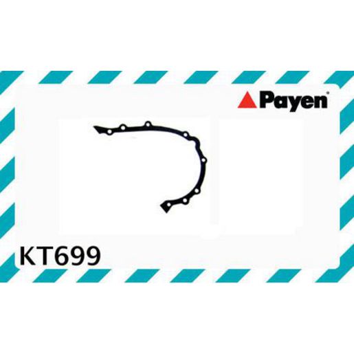 Payen Timing Cover Gasket KT699