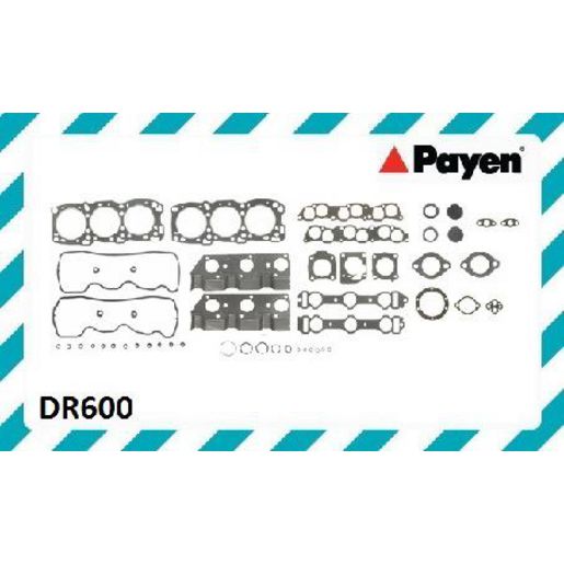 Payen Valve Regrind Gasket Set DR600