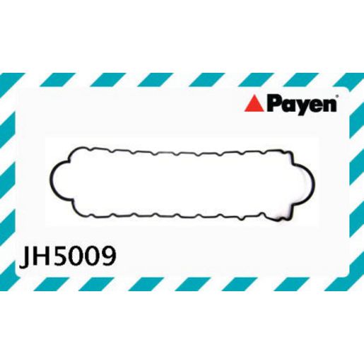 Payen Engine Oil Pan Gasket JH5009