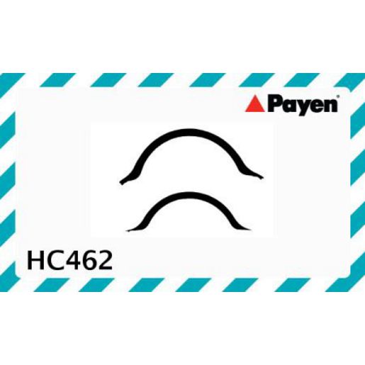 Payen Oil Pan Gasket HC462