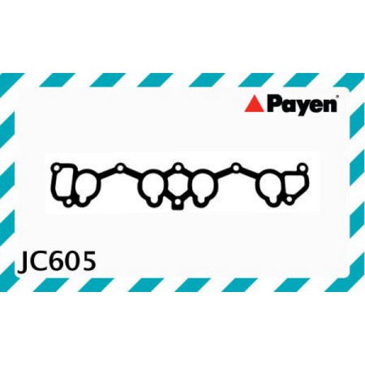 Payen Intake Manifold Gasket JC605