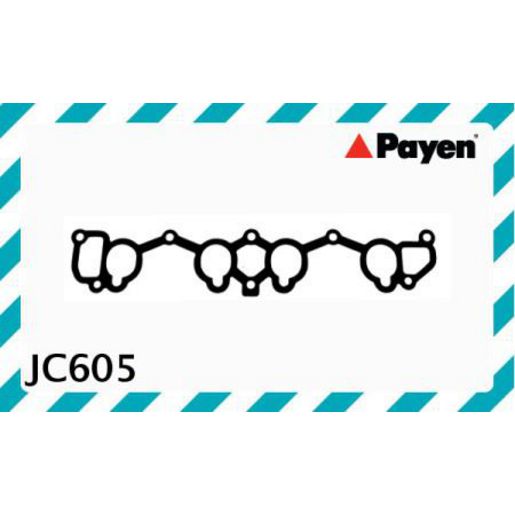 Payen Intake Manifold Gasket JC605