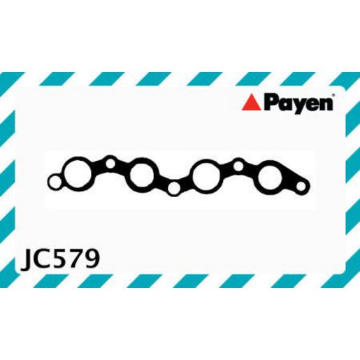 Payen Manifold Gasket JC579
