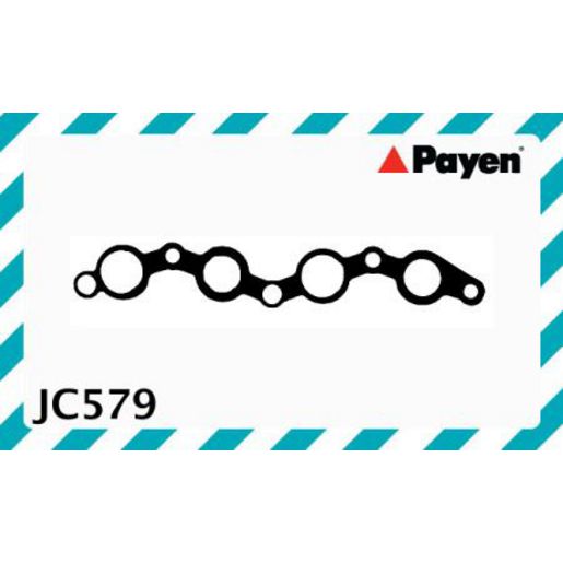 Payen Manifold Gasket JC579