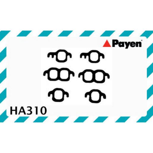 Payen Manifold Gasket HA310