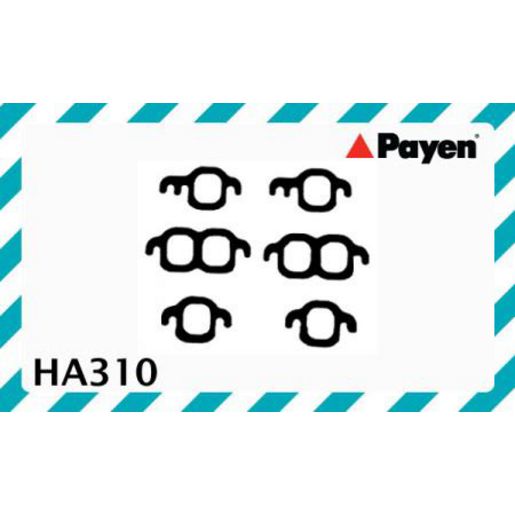 Payen Manifold Gasket HA310