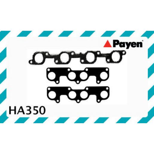Payen Manifold Gasket Set HA350