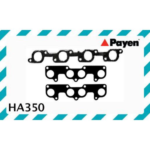 Payen Manifold Gasket Set HA350