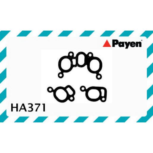 Payen Manifold Gasket HA371