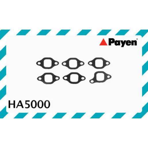 Payen Manifold Gasket HA5000