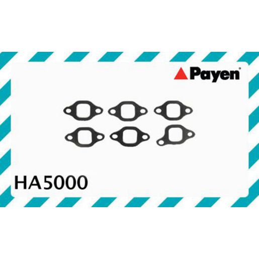 Payen Manifold Gasket HA5000