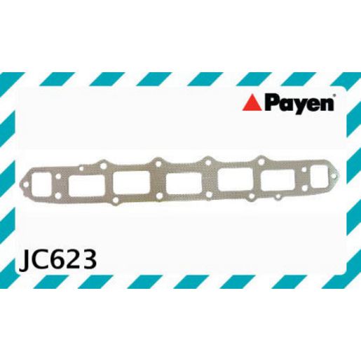 Payen Manifold Gasket JC623
