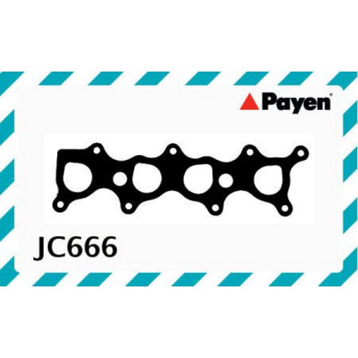 Payen Manifold Gasket JC666