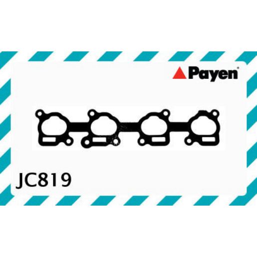 Payen Manifold Gasket JC819