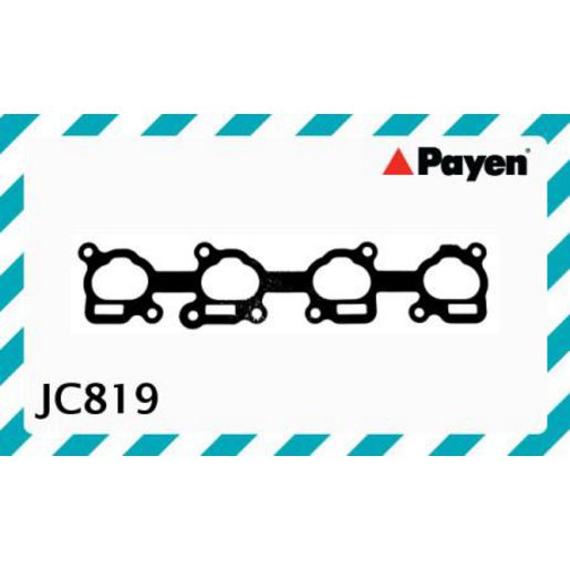 Payen Manifold Gasket JC819