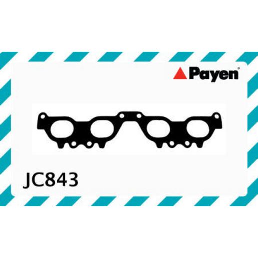 Payen Manifold Gasket JC843