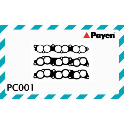 Payen Manifold Gasket PC001