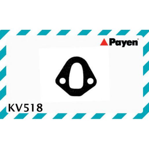 Payen Fuel Pump Gasket KV518