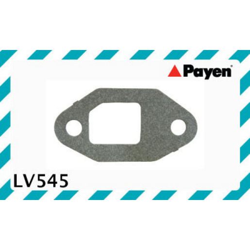 Payen Fuel Pump Gasket LV545