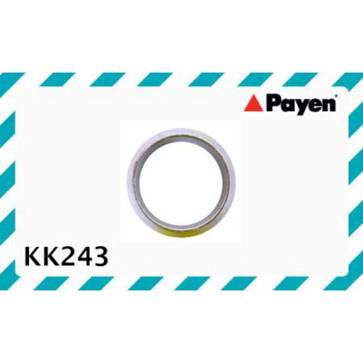 Payen Exhaust Flange Gasket KK243