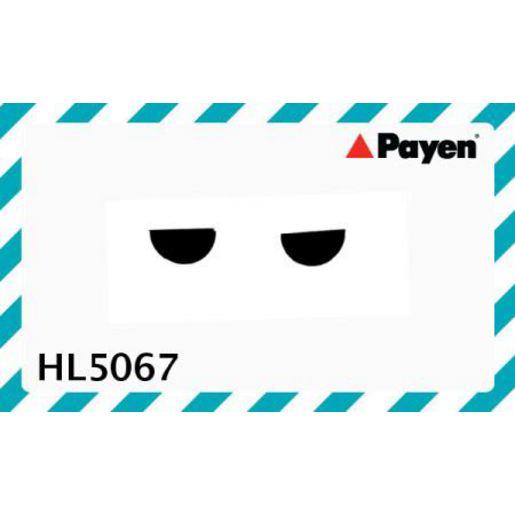 Payen Camshaft Oil Seal HL5067