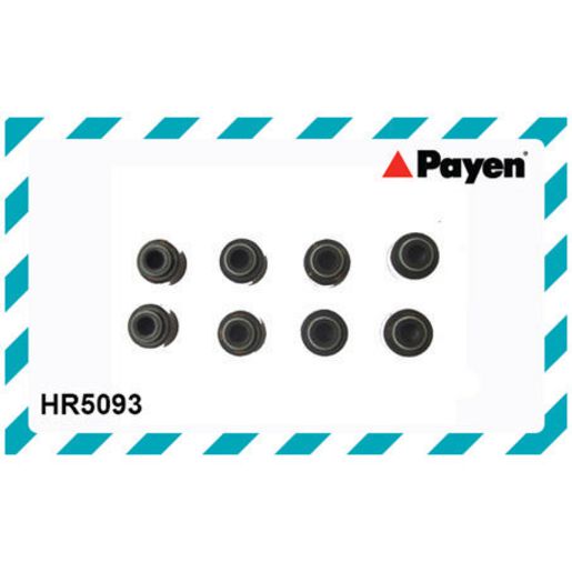 Payen Valve Stem Seal Set HR5093