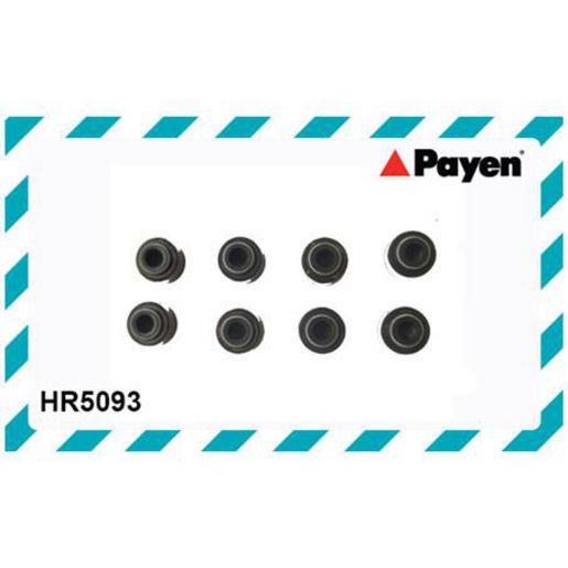 Payen Valve Stem Seal Set HR5093