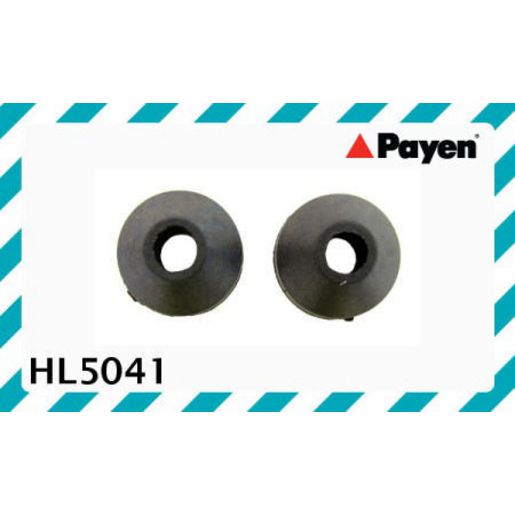 Payen Valve Cover Bolt Seal/Washer HL5041