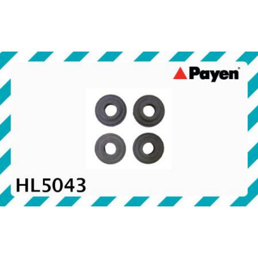 Payen Valve Cover Bolt Seal/Washer HL5043