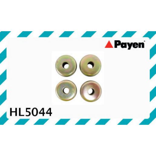 Payen Valve Cover Bolt Seal/Washer HL5044