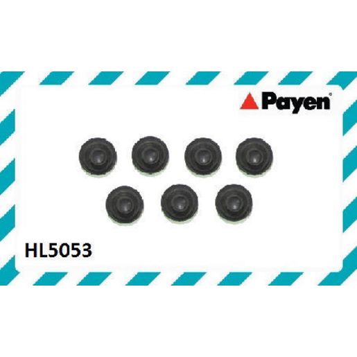 Payen Valve Cover Bolt Seal/Washer HL5053