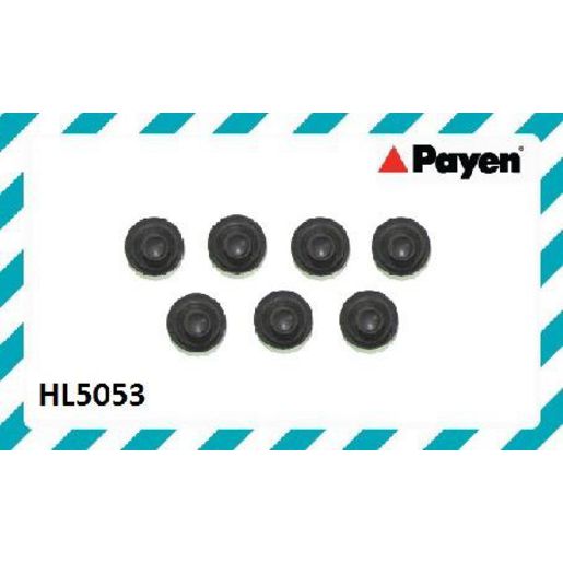 Payen Valve Cover Bolt Seal/Washer HL5053