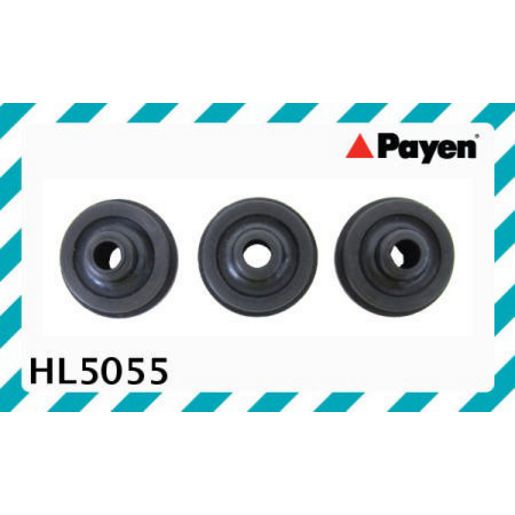 Payen Valve Cover Bolt Seal/Washer HL5055