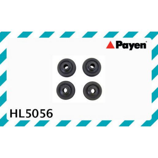 Payen Valve Cover Bolt Seal/Washer HL5056