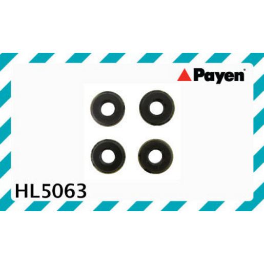 Payen Valve Cover Bolt Seal/Washer HL5063