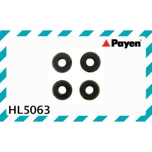 Payen Valve Cover Bolt Seal/Washer HL5063
