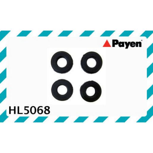 Payen Valve Cover Bolt Seal/Washer HL5068
